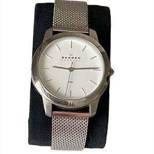 Skagen Woven Stainless Steel Watch and Band